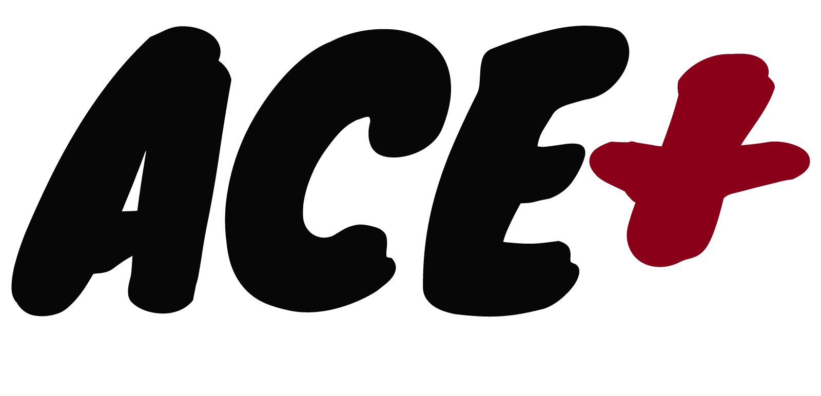 ace plus logo.png