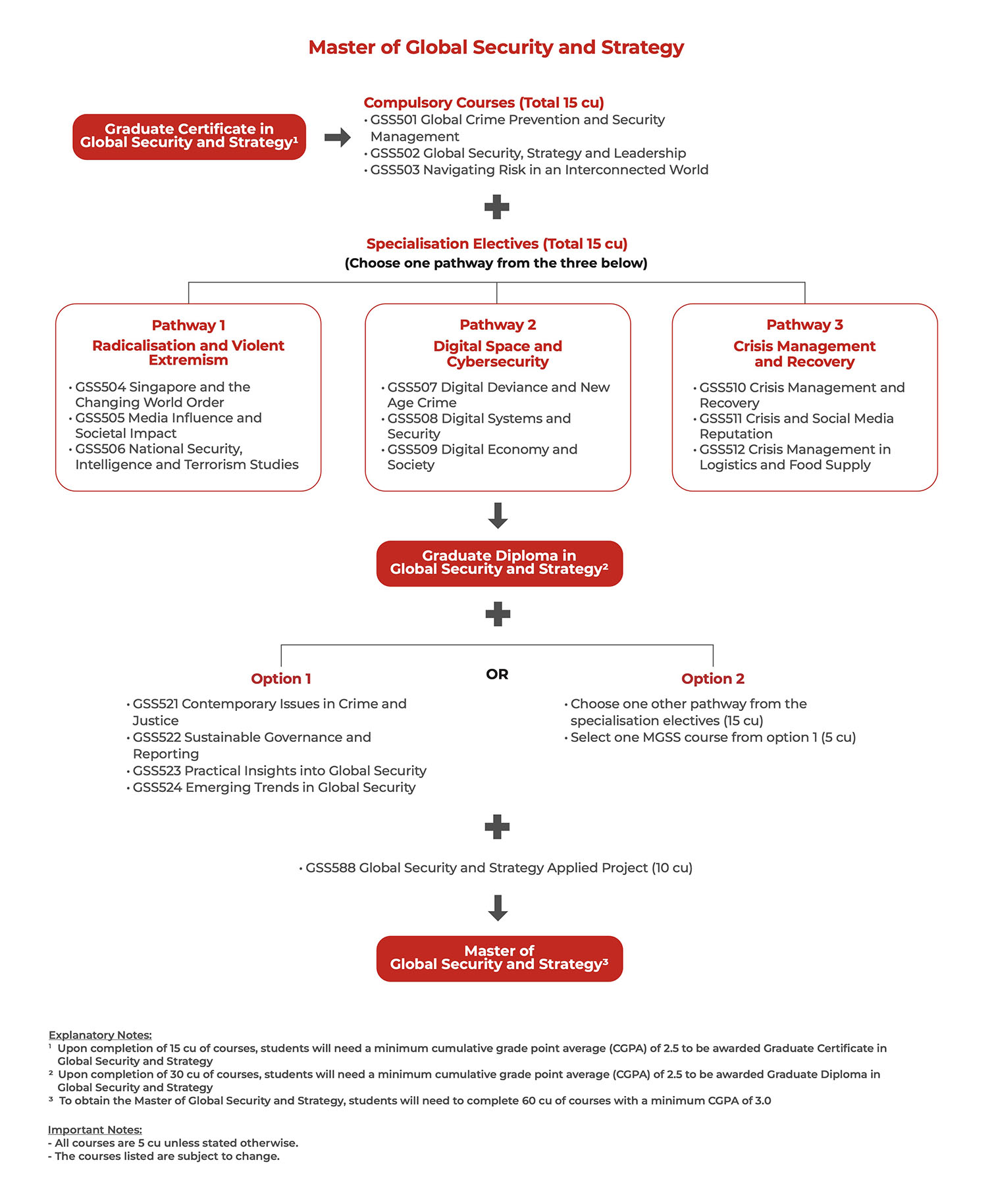 Flowchart for Global Safety and Security