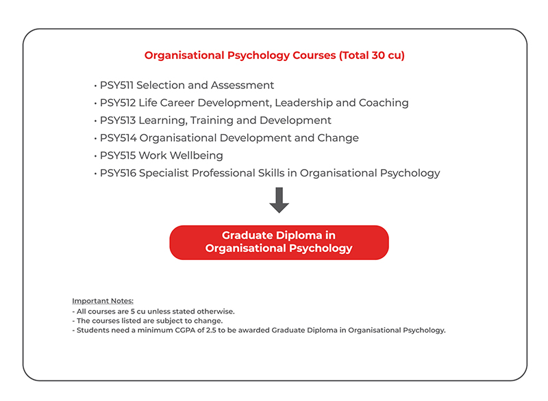 Graduate Diploma in Organisational Psychology Graduate Diploma in Organisational Psychology