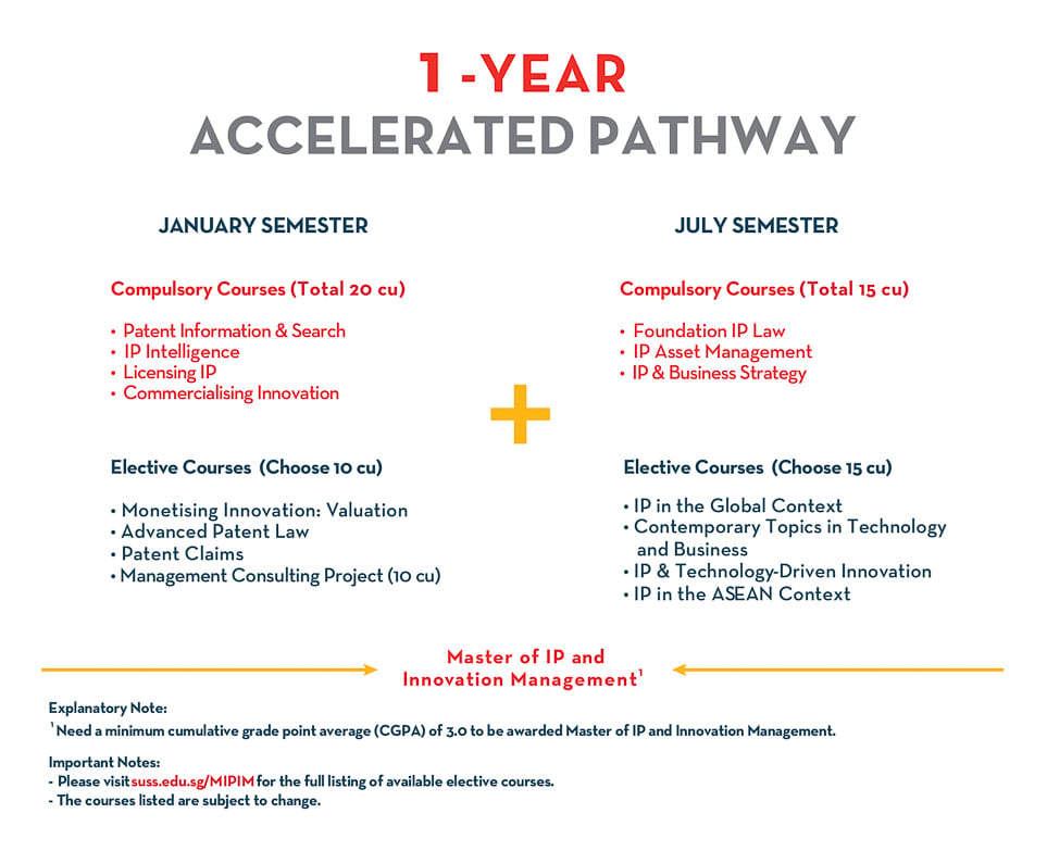 programme structure image for the 1 year accelerated MIPIM