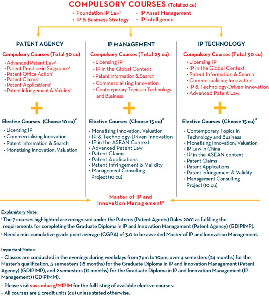 programme structure for the Master of IP Innovation Management programme