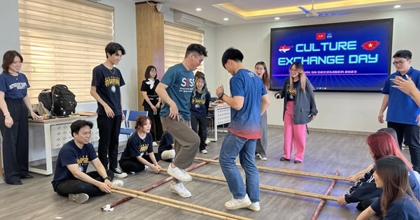 Cultural exchange in ULIS