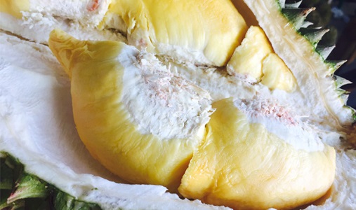 Durian Feast (Johor Bahru)