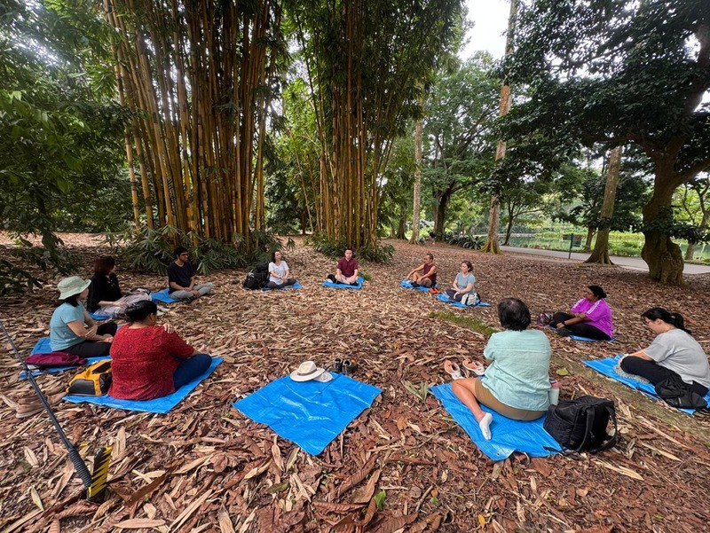 A group of students, alumni, faculty, and eco-therapists seated in a circle on blue mats in a forested area A group of students, alumni, faculty, and eco-therapists seated in a circle on blue mats in a forested area