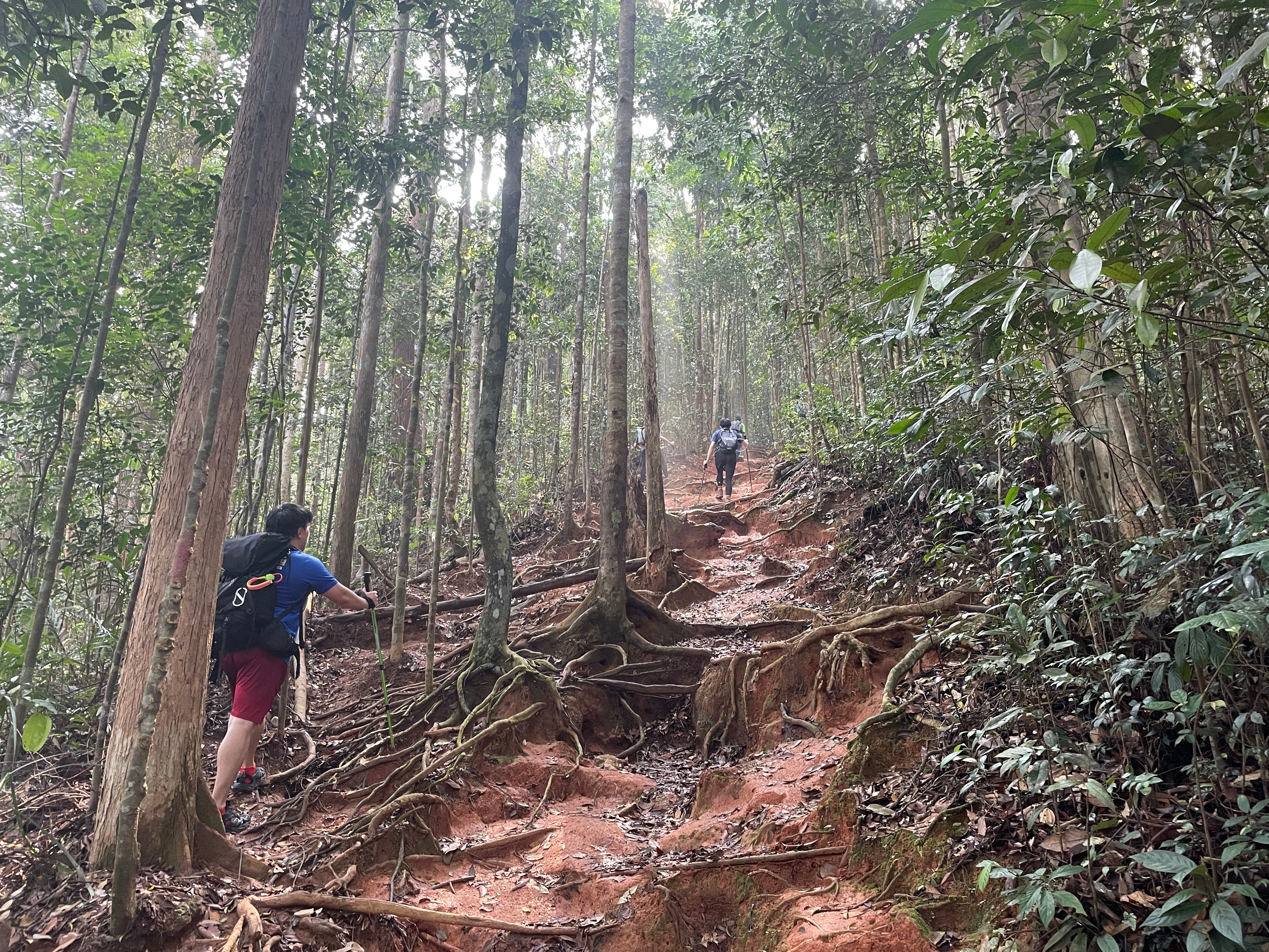 A Steep Path