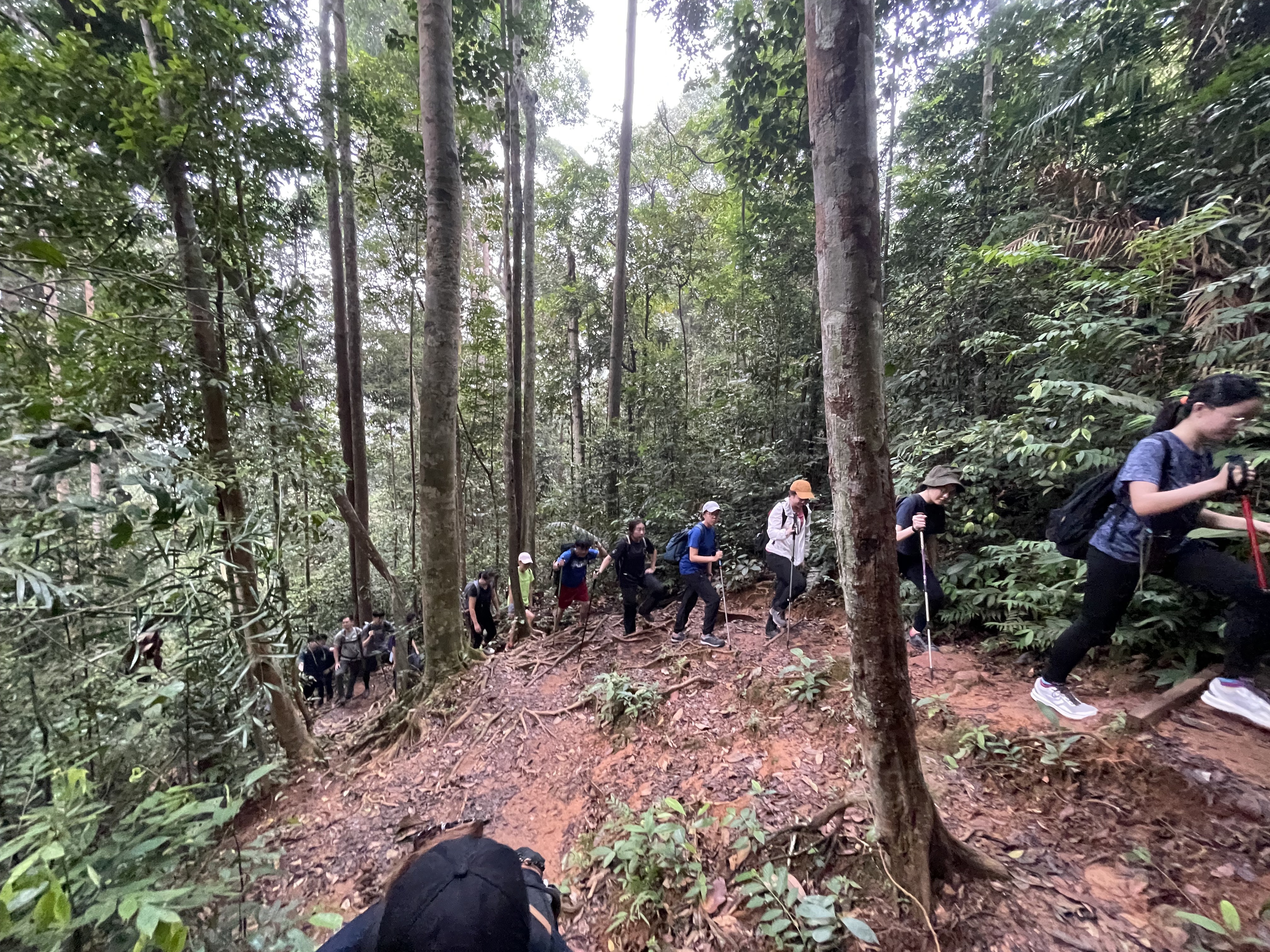 Ascending Gunung Lambak