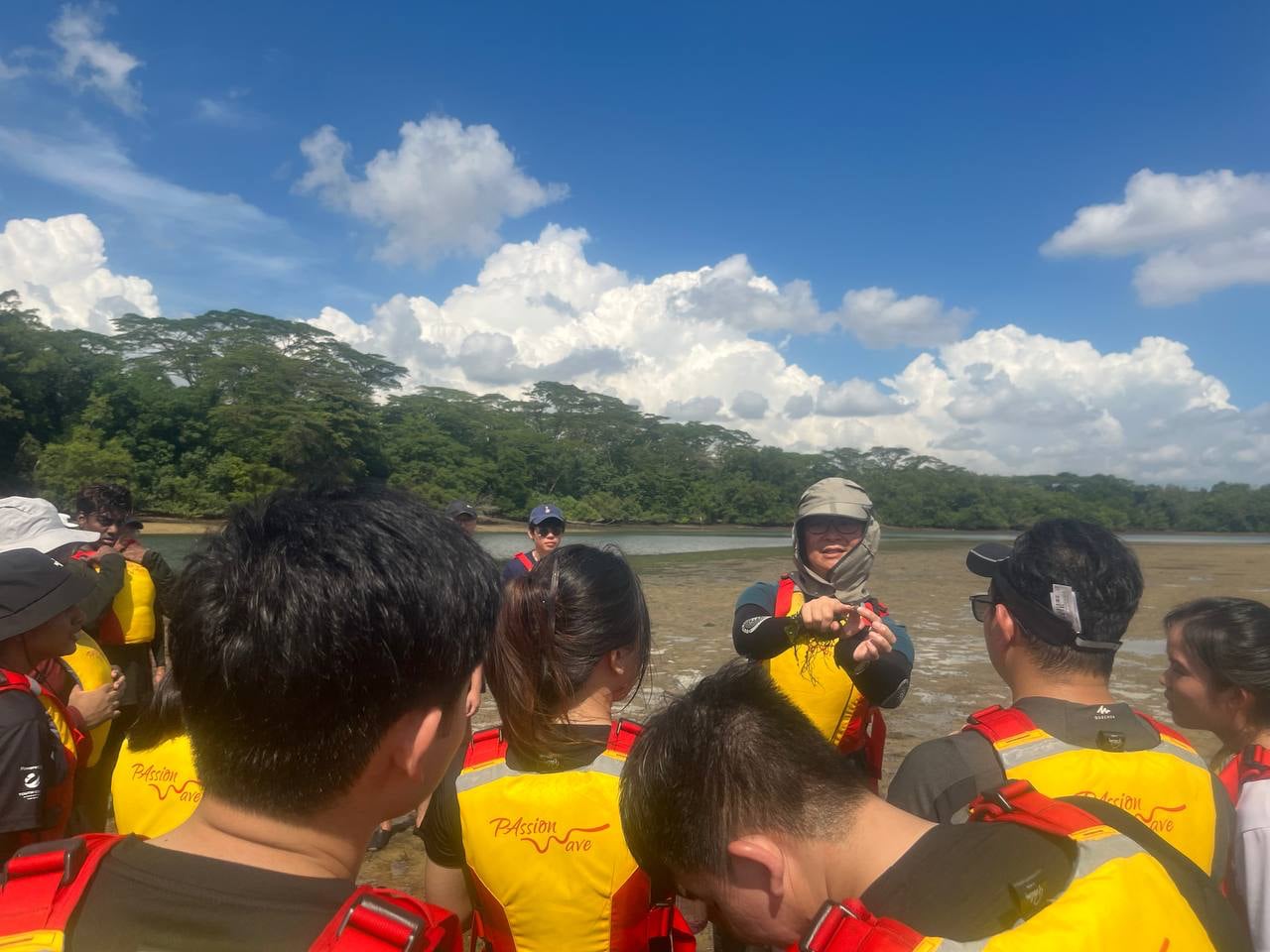 Cheng Puay sharing about the flora and fauna found in mangroves Cheng Puay sharing about the flora and fauna found in mangroves