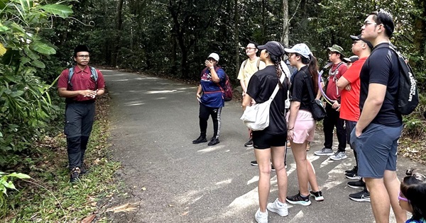 Syazwan explaining the stories behind the uses of the Sireh tree.
