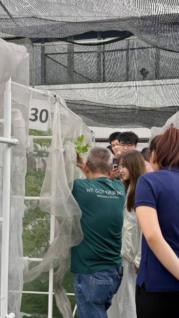 Sustainable farm at YMCA