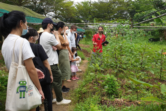 The guide from GUI on the far right, explains to our students about the different vegetables that grow in their farm.