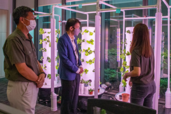 Lee Ru Ying (far right), an SUSS Human Factors in Safety student, showcases the hydroponics planters and the process of the Agriprenuer Incubation Programme with the guests.