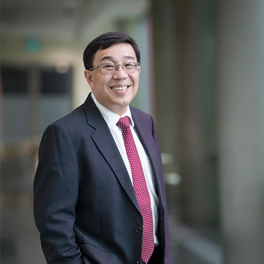 Professor David Lee Kuo Chen