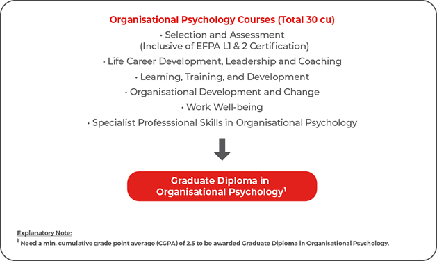 Graduate Diploma in Organisational Psychology